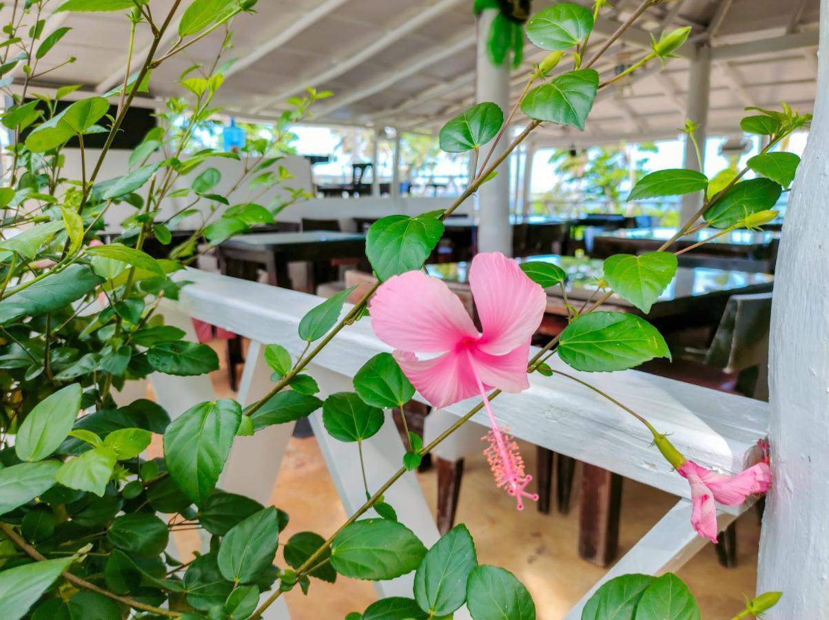 B&B Aparthotel La Isleta ลาส กาเลราส ภายนอก รูปภาพ